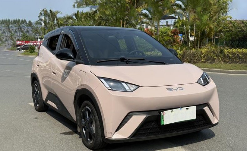 BYD Seagull